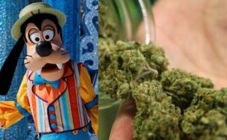 La marihuana entra en lista de cosas prohibidas en Disney World