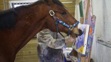 Metro, el caballo que financia su tratamiento médico pintando