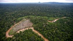 ¿La Amazonía fue alguna vez un océano?