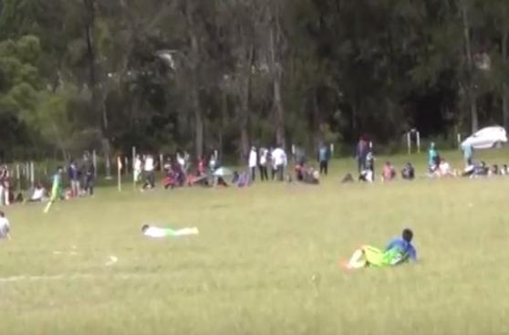 Copa Perú: partido se paralizó por ataque de abejas y bronca