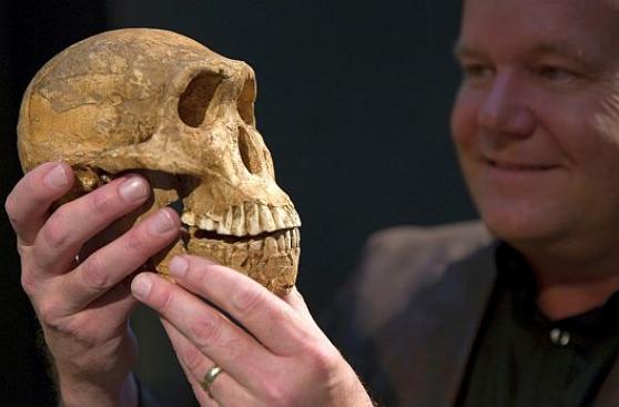 Nueva hipótesis complica el árbol genealógico del ser humano