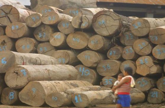 ¿Por qué el Mincetur avaló envío de madera ilegal a EE.UU.?