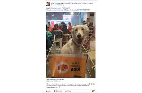 Mall en Lurín le abre sus puertas a las mascotas