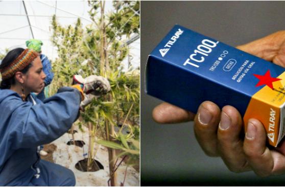 Chile: Farmacias ahora venden medicinas a base de cannabis
