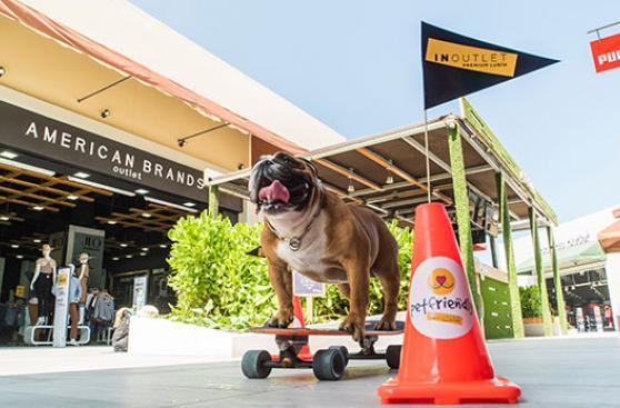 Mall en Lurín le abre sus puertas a las mascotas