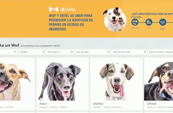 Página de venta de perros resultó tener fin social