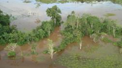 COEN: ríos de la selva continúan en alerta roja por las lluvias