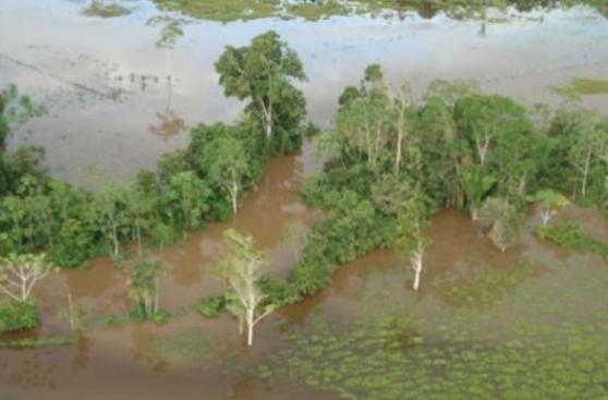 COEN: ríos de la selva continúan en alerta roja por las lluvias