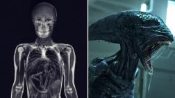 Video 360° te pone en la lugar de un alien dentro de un humano