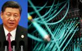 Ciberataque mundial: 30.000 firmas fueron infectadas en China