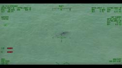 Advierten a bañistas por la presencia de 15 tiburones blancos