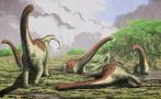 Los 30 segundos que cambiaron el destino de los dinosaurios 