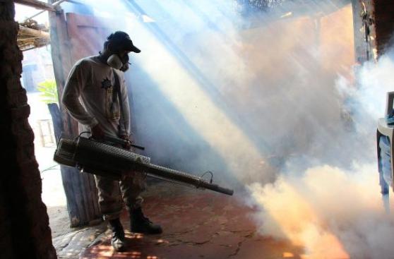 Muertes por dengue aumentan a 19 en Piura