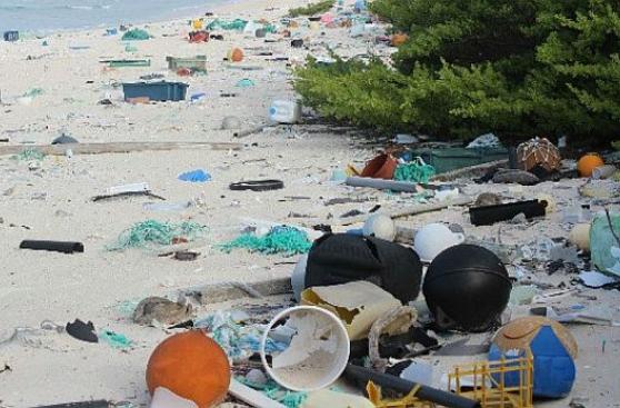 Isla del Pacífico está cubierta por más de 38 mlls. de desechos