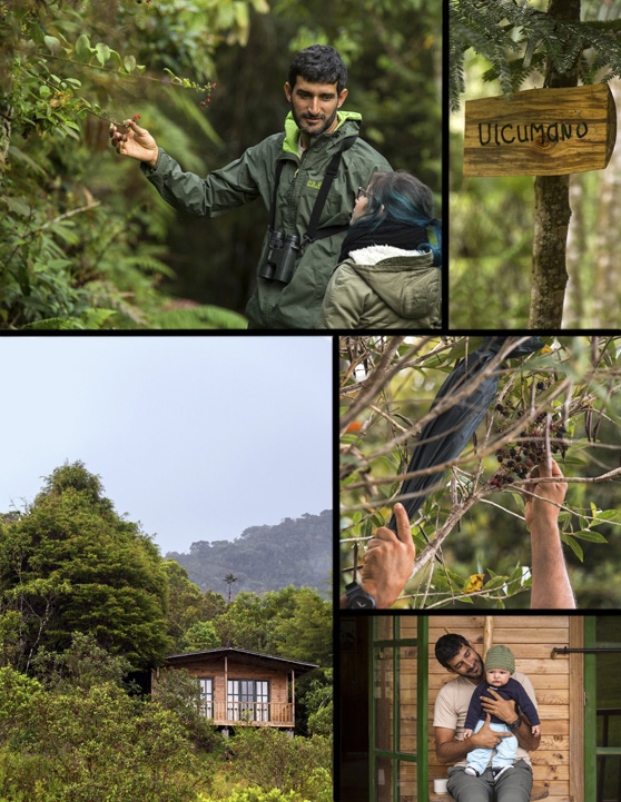 Oxapampa: conoce al hombre que conserva la naturaleza en un albergue ecoturístico