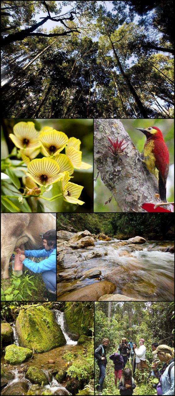 Huiquilla: un espacio natural con más de 200 especies de plantas