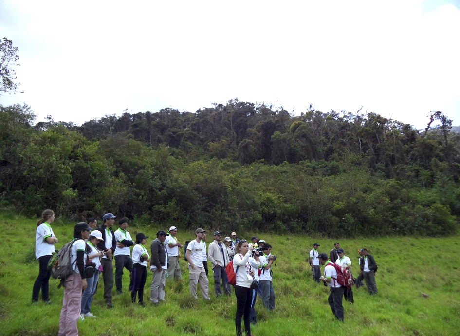 Huiquilla: un espacio natural con más de 200 especies de plantas