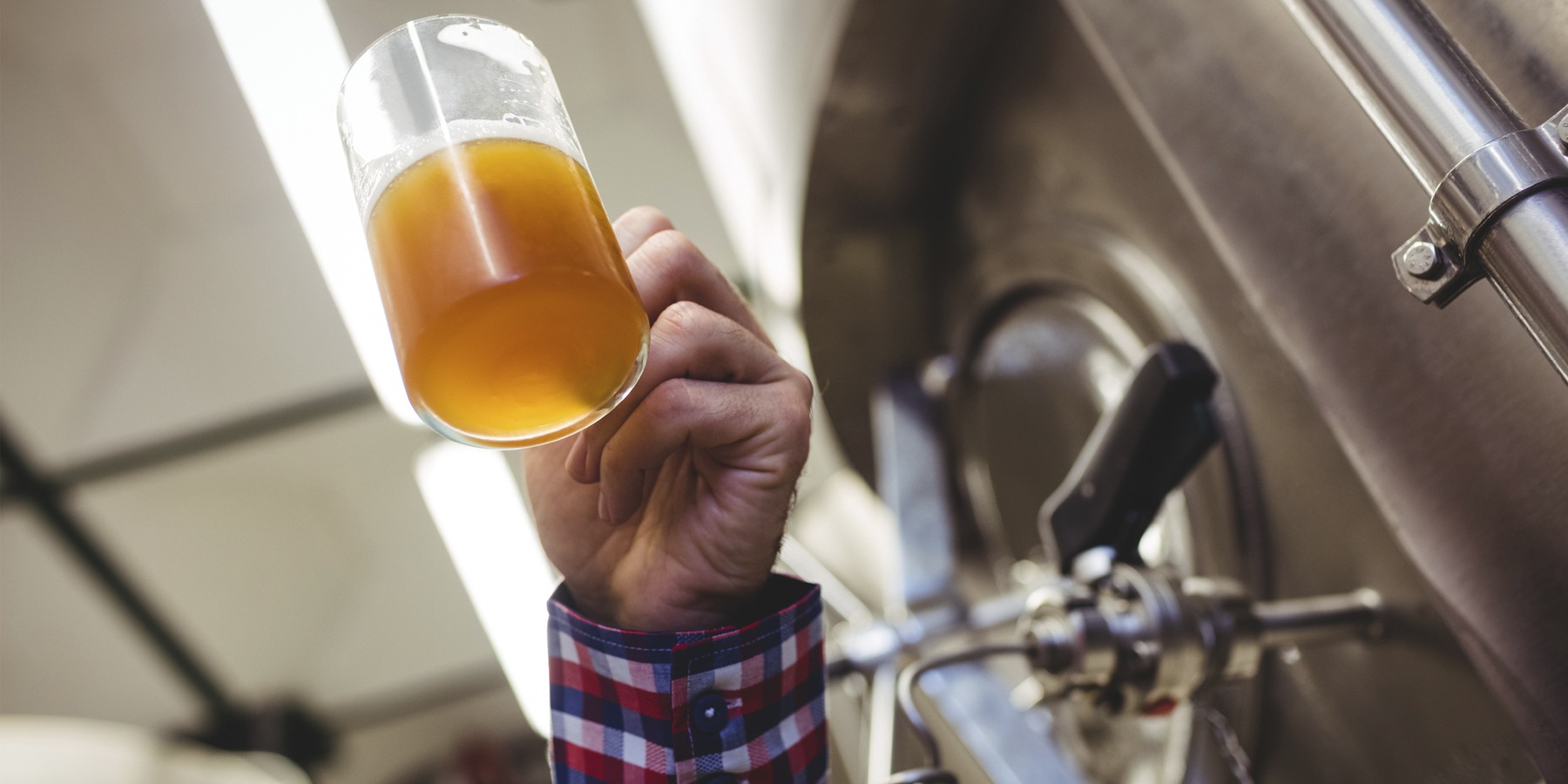 El arte de los maestros cerveceros