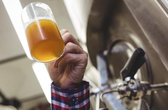 El arte de los maestros cerveceros