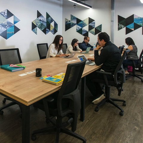 Oficinas privadas: Un lugar 100% privado, aquí solo compartirás las áreas comunes y los servicios.