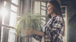 TOMA NOTA: 7 razones para tener plantas en casa