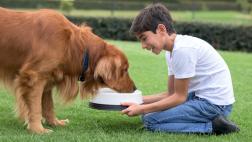 ¿Los niños se vuelven responsables al tener una mascota?
