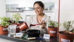 5 cosas que debes saber para cultivar vegetales en casa