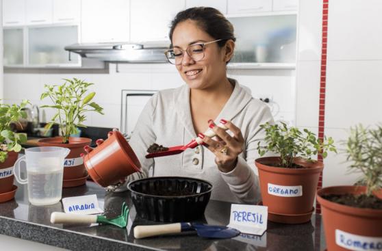 5 cosas que debes saber para cultivar vegetales en casa