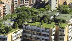 Conoce cómo y por qué instalar un techo verde