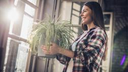 6 consejos sobre decoración para crear ambientes en armonía