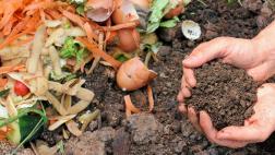 Compost: 4 pasos para aprovechar los residuos orgánicos