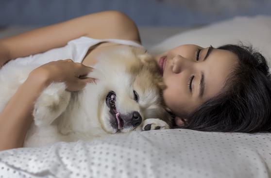 Dormir con la mascota: ¿es conveniente para tu niño?