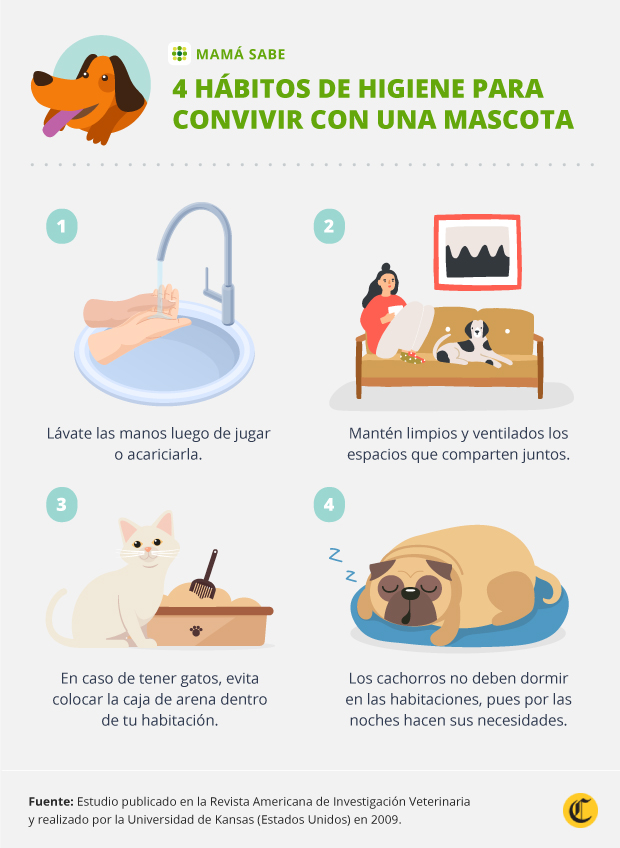 formación Acumulativo Acostumbrados a Dormir con la mascota: ¿es o no conveniente para tu niño? | Mamasabe | El  Comercio Peru