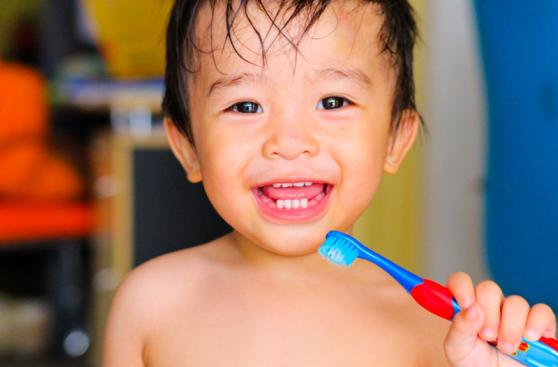 Dientes de leche: ¿por qué hay que cuidarlos en los niños?