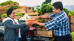 Asociatividad: los beneficios de aliarte con otros productores