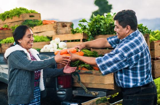 Asociatividad: los beneficios de aliarte con otros productores