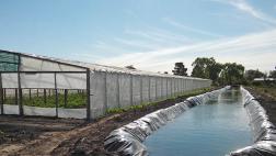 Métodos eficaces para ahorrar agua en los cultivos