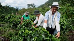 7 consejos para elevar la producción agrícola