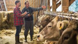 Claves para lograr una agricultura y ganadería sostenible