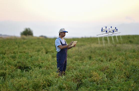 El aporte del uso de drones en el sector agrícola