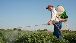 ¿Cómo lograr una agricultura amigable con el medio ambiente?