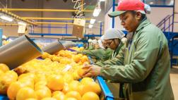 6 pasos claves para exportar nuestros productos