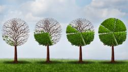 Inversiones verdes: ¿qué son estos financiamientos sostenibles?