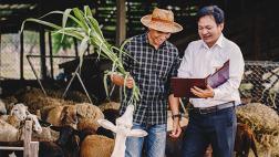 ¿Cómo financiar la innovación agraria?