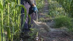 Día del campesino: emprendimientos agrícolas dignos de imitar