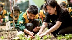 Educación alimentaria: la clave para mejorar la salud