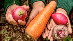 ¿Por qué promover la alimentación saludable en el Perú?