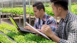 Alternativas sostenibles para un mejor futuro de la agricultura