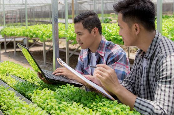 Alternativas sostenibles para un mejor futuro de la agricultura