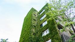 Edificios verdes: la clave para ahorrar agua y luz